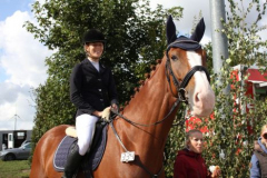 258reitturnier