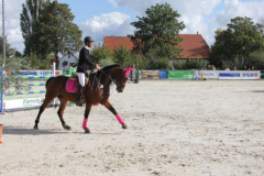 267reitturnier