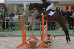 320reitturnier