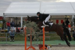 378reitturnier