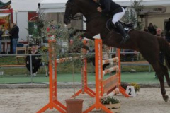 385reitturnier