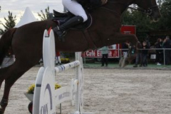 386reitturnier