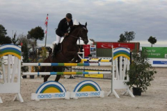 387reitturnier