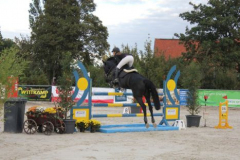393reitturnier