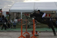 394reitturnier