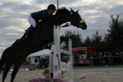 395reitturnier