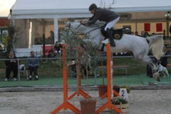 399reitturnier
