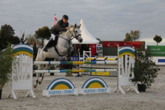 401reitturnier