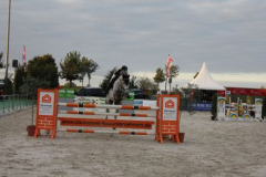 404reitturnier