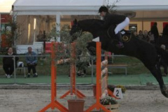 406reitturnier