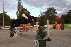 409reitturnier
