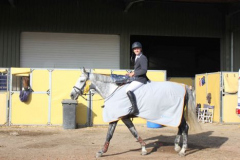447reitturnier