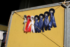 450reitturnier