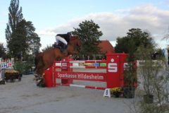 584reitturnier