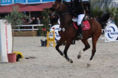 614reitturnier