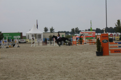Turnier-2014-510