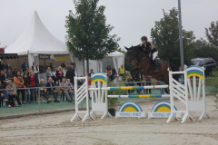 Turnier-2014-719