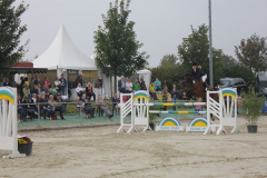 Turnier-2014-769