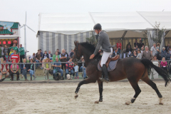 Turnier-2014-780
