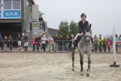 Turnier-2014-800