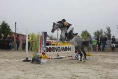 Turnier-2014-805