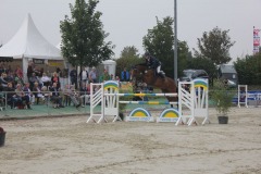 Turnier-2014-811