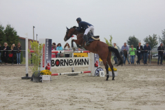 Turnier-2014-813