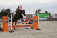 177Kleines2016
