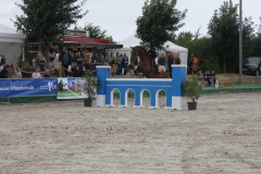 216Kleines2016