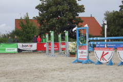 217Kleines2016