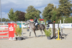 233Kleines2016