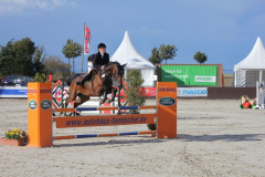 241Kleines2016