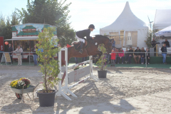 242Kleines2016