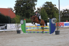 257Kleines2016