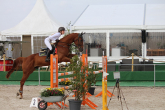 273Kleines2016