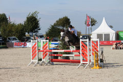 280Kleines2016