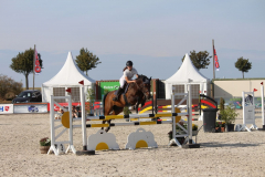 287Kleines2016