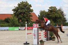 313Kleines2016