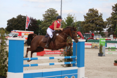 321Kleines2016