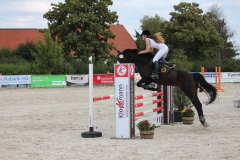 332Kleines2016
