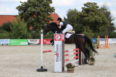 338Kleines2016