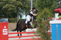 339Kleines2016