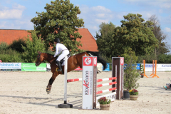 345Kleines2016
