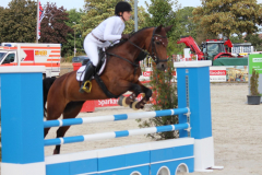 348Kleines2016