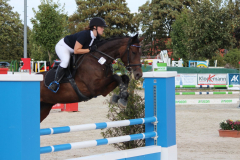 354Kleines2016