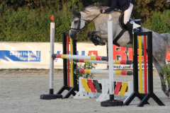 355Kleines2016