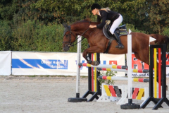 361Kleines2016