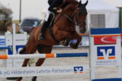 364Kleines2016