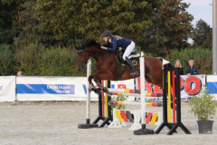 371Kleines2016