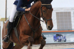 372Kleines2016